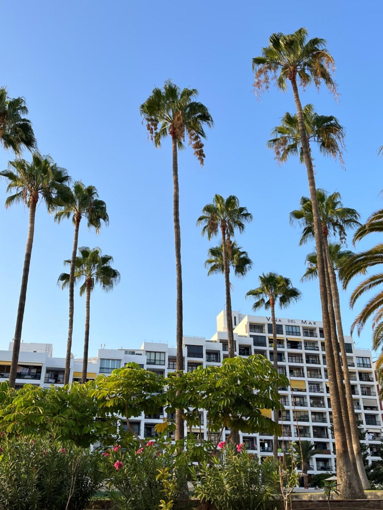 Apartament Vina Del Mar Playa Feñabe Zewnętrze zdjęcie